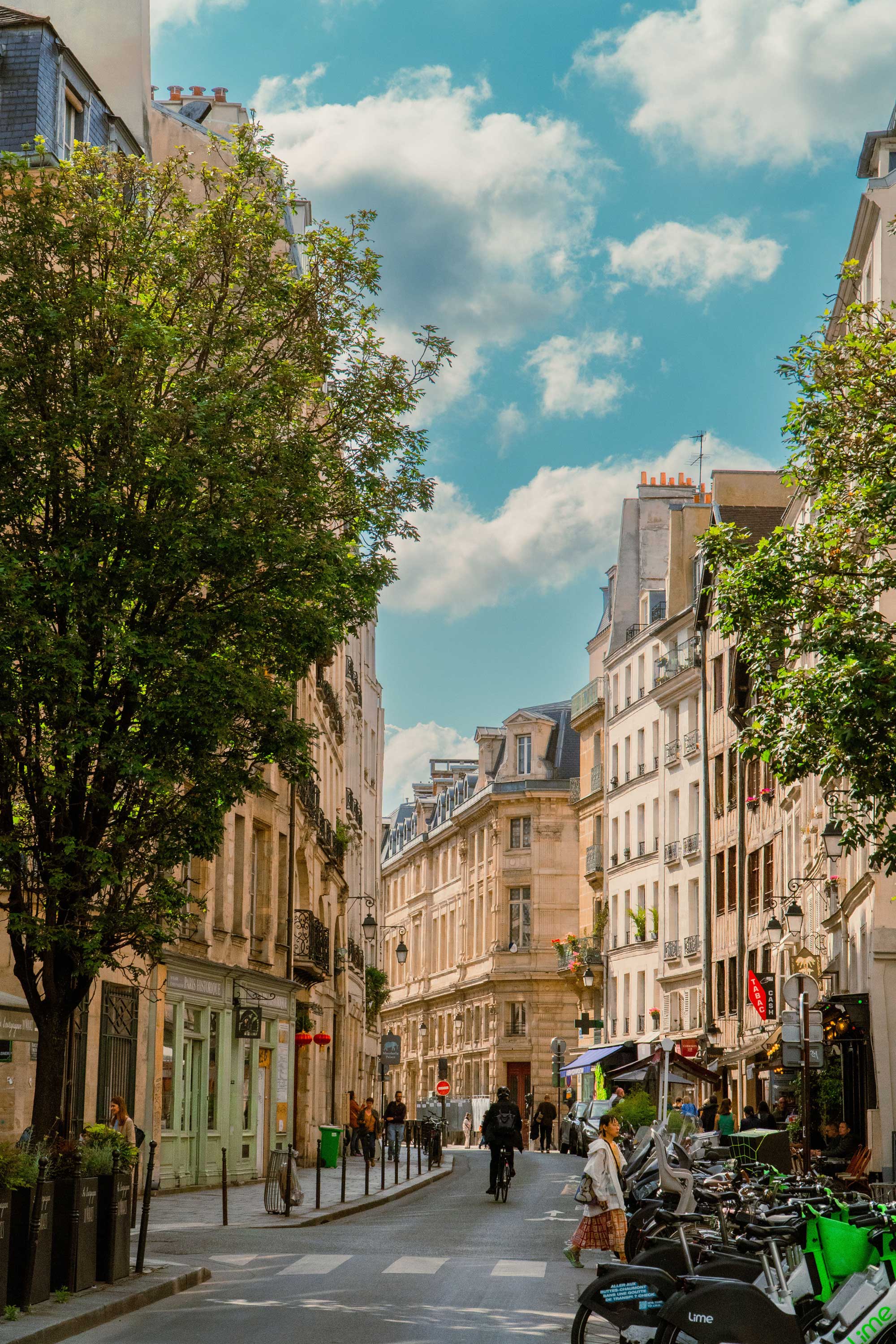 Paris street lined with stone buildings and trees